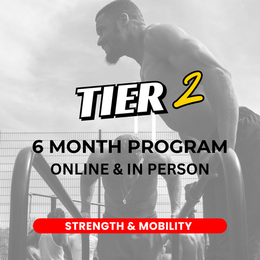 Tier 2: Six Month Program